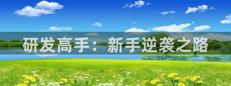 安信2娱乐：研发高手：新手逆袭之路
