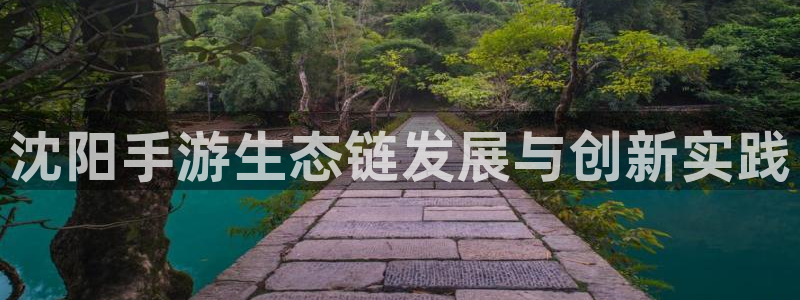 安信14娱乐：沈阳手游生态链发展与创新实践