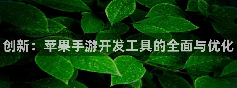 安信13娱乐注册：创新：苹果手游开发工具的全面与优化