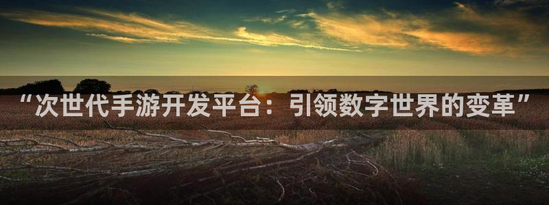安信娱乐软件：“次世代手游开发平台：引领数字世界的变革”