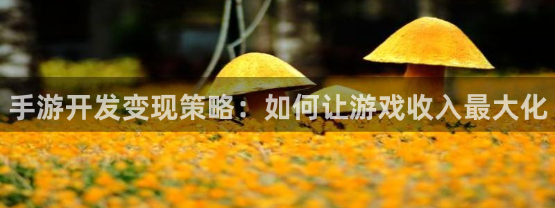 安信娱乐宝应网：手游开发变现策略：如何让游戏收入最大化