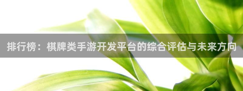 安信12娱乐注册：排行榜：棋牌类手游开发平台的综合评估与未来