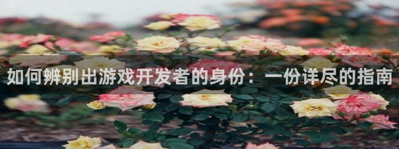 安信12娱乐登录：如何辨别出游戏开发者的身份：一份详尽的指南