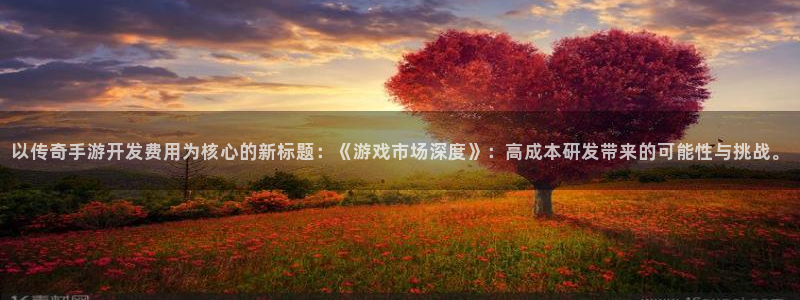 安信13娱乐官网入口：以传奇手游开发费用为核心的新标题：《游