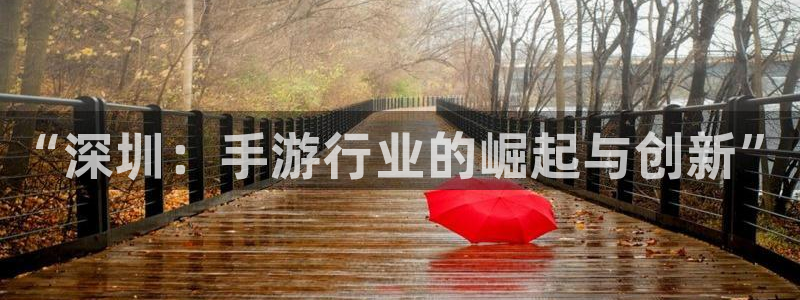 安信娱乐2：“深圳：手游行业的崛起与创新”