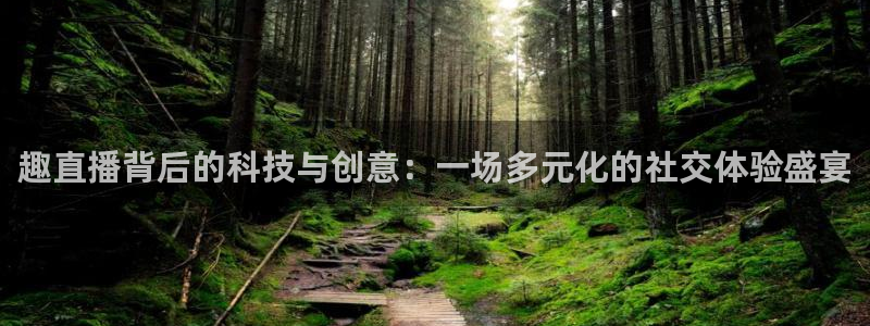 919nba直播篮球比赛