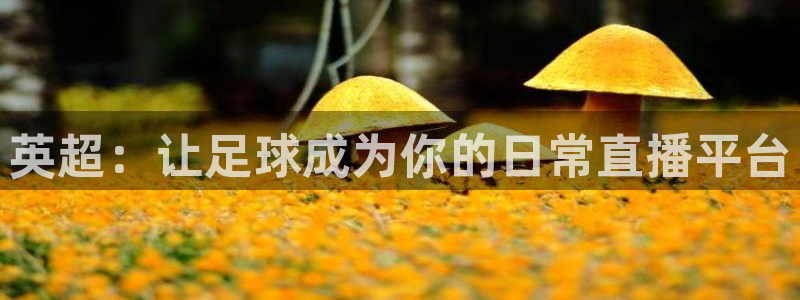 919直播：英超：让足球成为你的日常直播平台