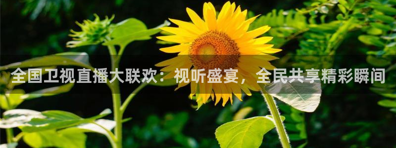 足球直播919