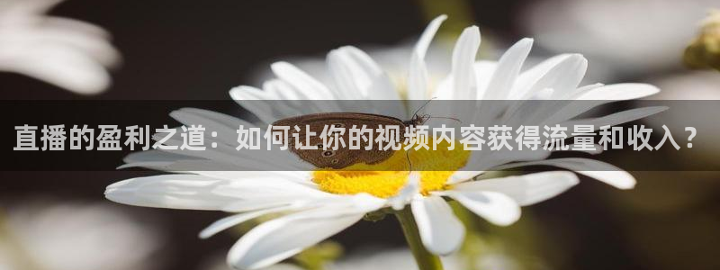 919体育nba直播安卓版：直播的盈利之道：如何让你的视频内容获得流量和收入？