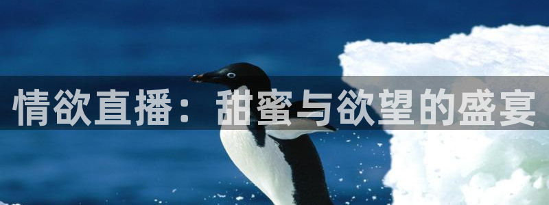919直播足球版本1.0.7：情欲直播：甜蜜与欲望的盛宴