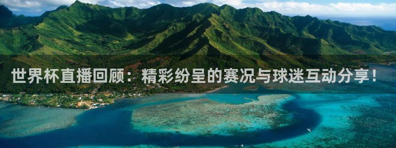 919篮球直播：世界杯直播回顾：精彩纷呈的赛况与球迷互动分享！