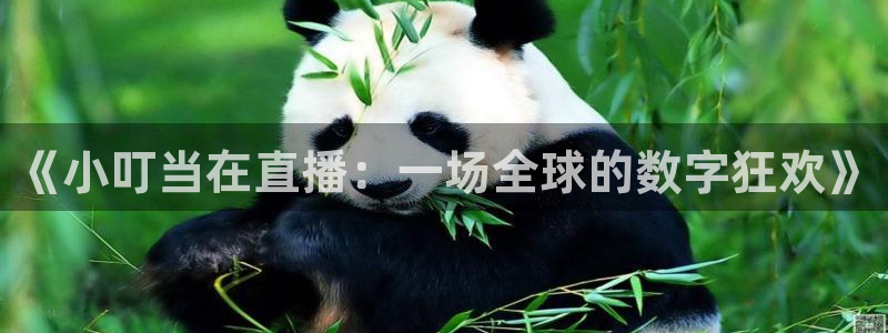 919直播平台：《小叮当在直播：一场全球的数字狂欢》