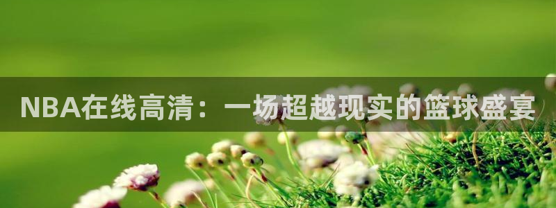 919体育直播平台