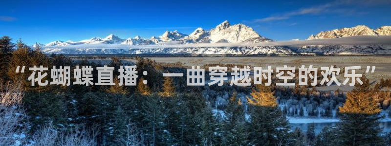01zbtv直播体育919：“花蝴蝶直播：一曲穿越时空的欢乐”