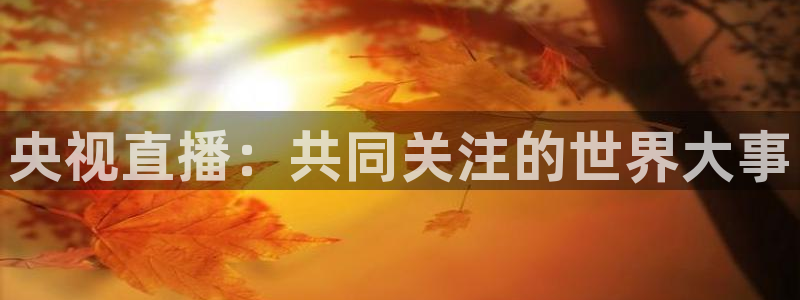 919直播平台官方网站：央视直播：共同关注的世界大事