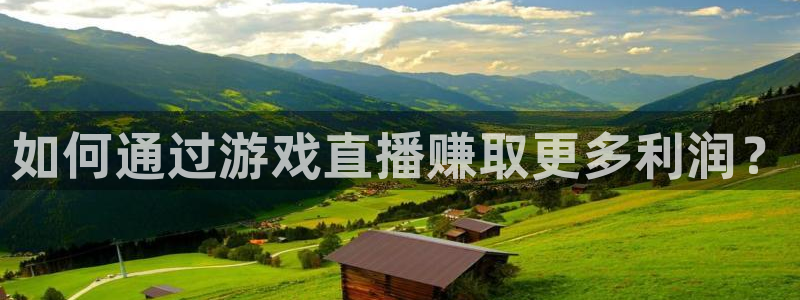 919直播间官网：如何通过游戏直播赚取更多利润？