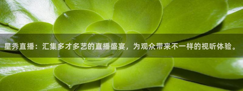 919nba直播看球观看：星秀直播：汇集多才多艺的直播盛宴，为观众带来不一样的视听体验。